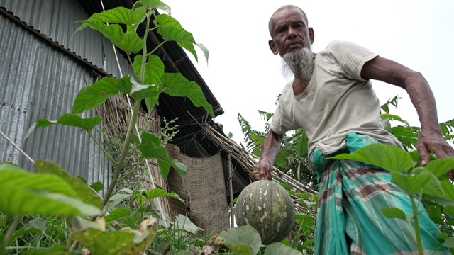 Dulu Aladar's crops